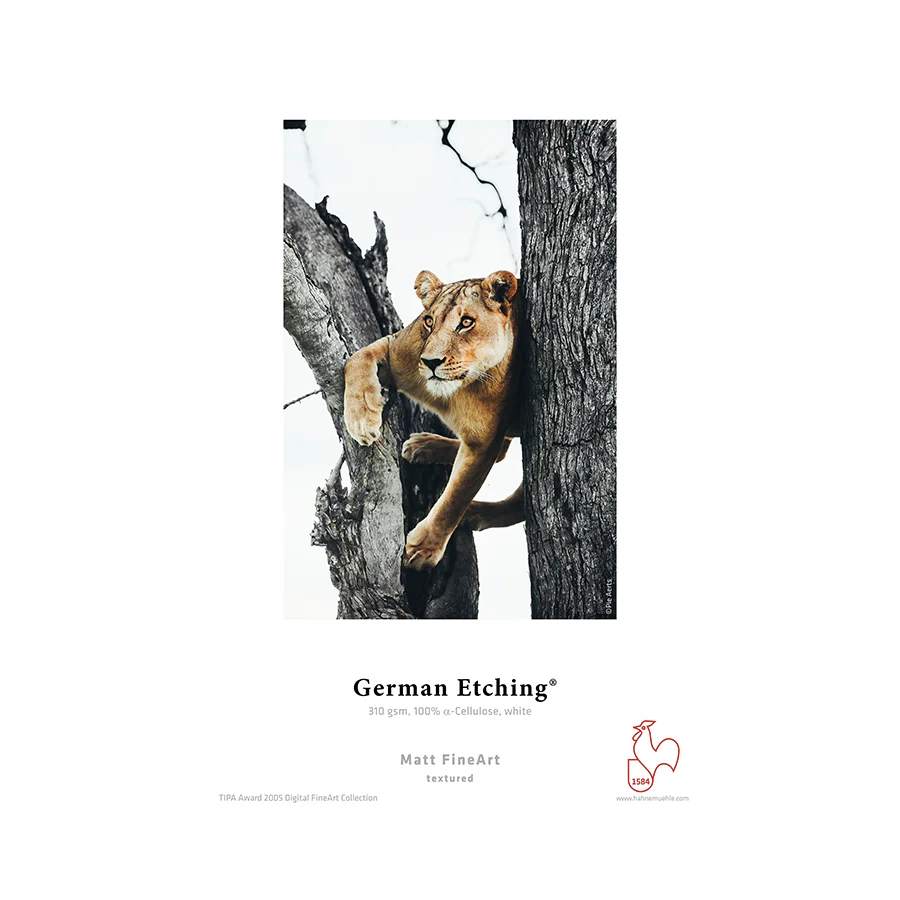 HahnemuhleHahnemühle German Etching Paper Sheets 310 gsm