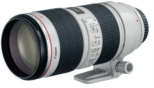 Canon EF 70-200mm f/2.8L Image Stabilizer II USM Lens (77mm)