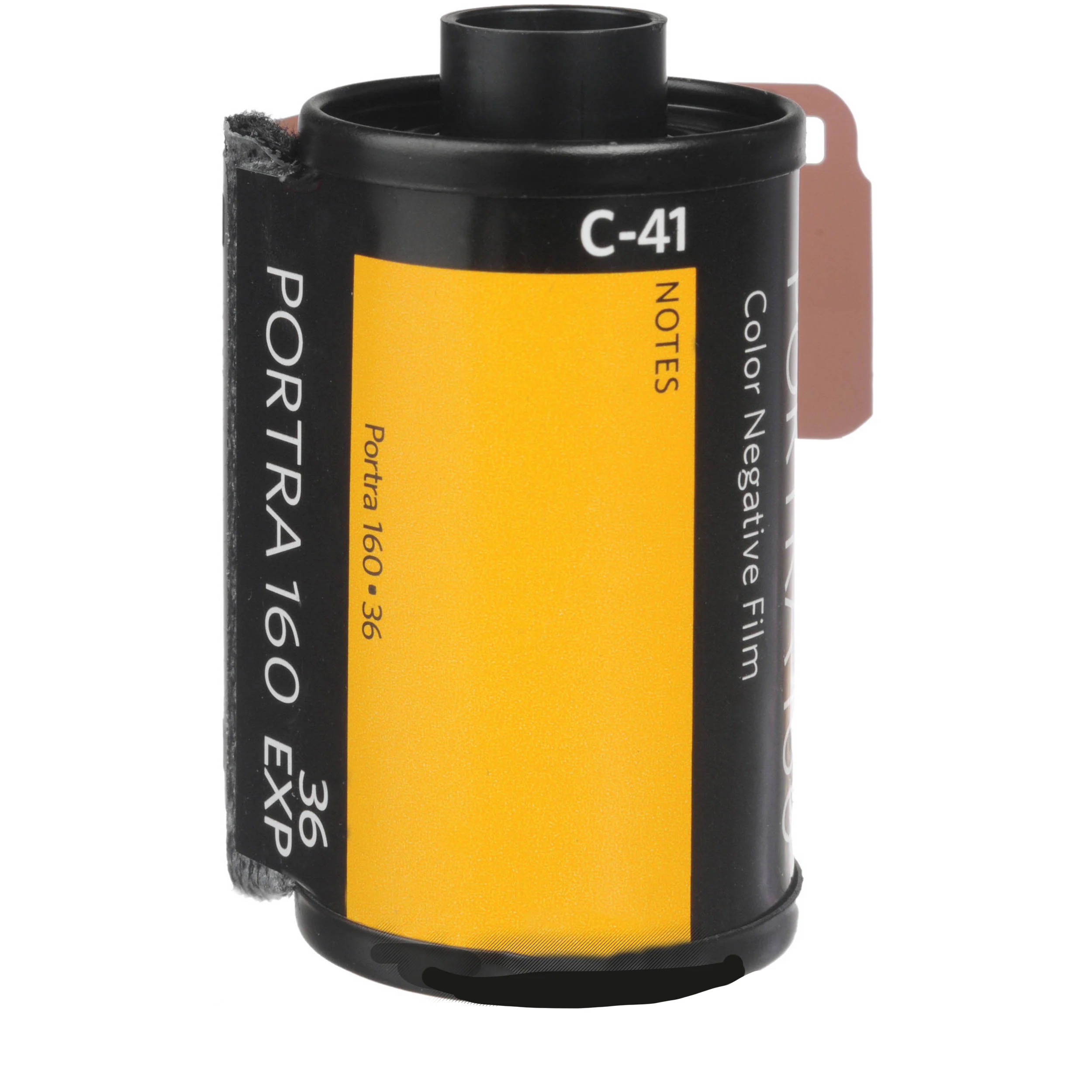 KodakProfessional Portra 160 Color Negative 35mm Film, 36 Exposures